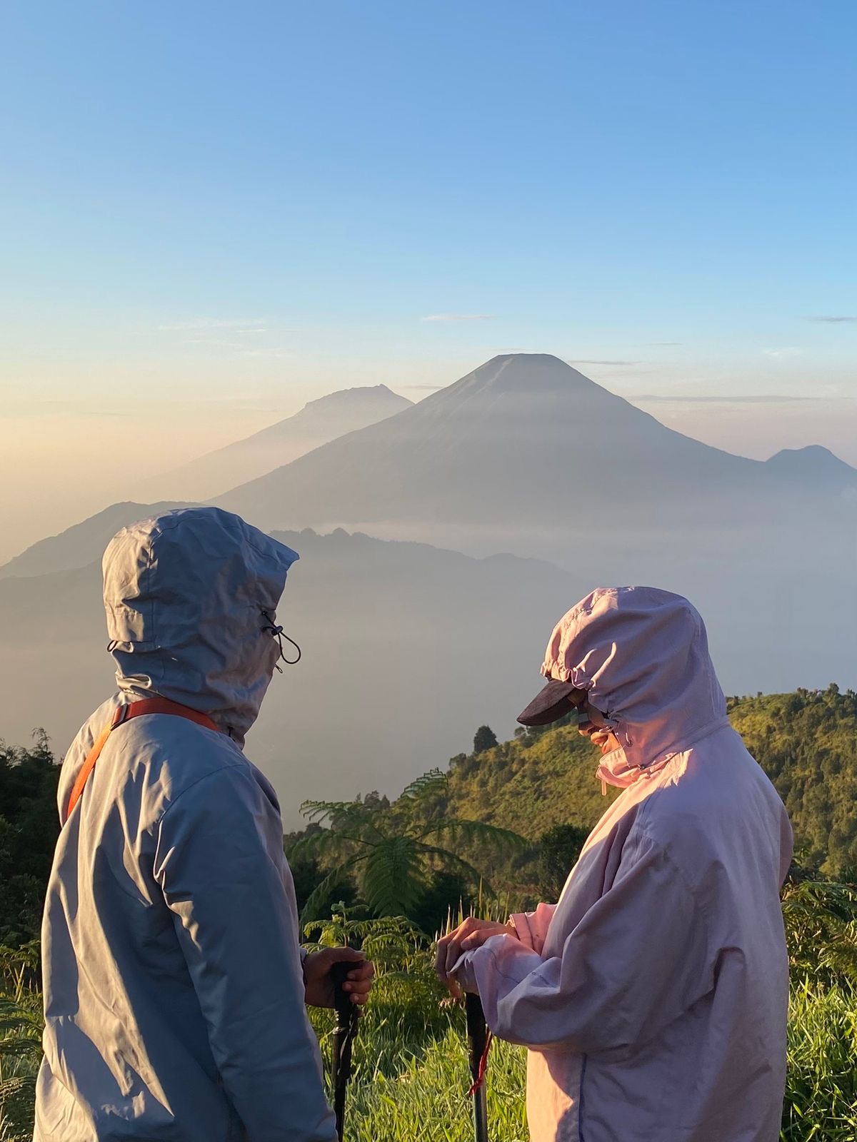 28e8f32e-ee05-43cf-b729-dff60bf6a0f2