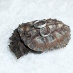 b417ca7a-e7f6-4471-a519-a6b2e120f470